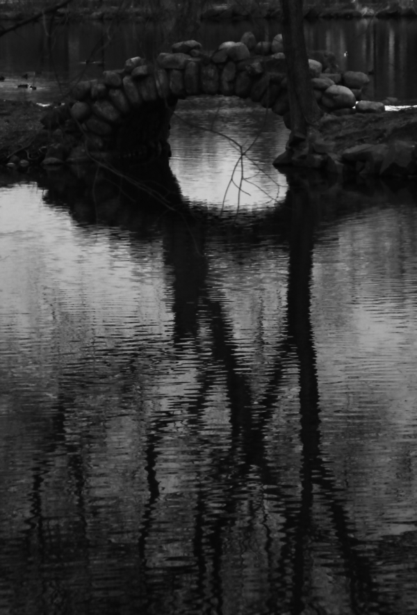 2010 02 22 IMG 8835bw